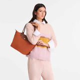 Le Pliage Brique Orange Medium Shoulder Bag